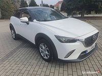 Obraz 3