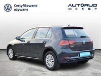 Używany VW Golf VII 116 KM (85 kW) 2019 Szary Hatchback