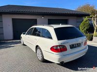 Obraz 2