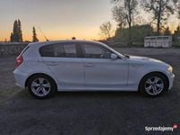 Obraz 3