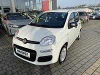 używany Fiat Panda MY25 Pandina Icon 1.0 70 KM