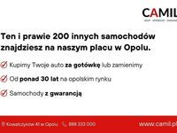 Obraz 3