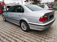 Obraz 3