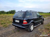 Obraz 2
