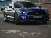 używany Ford Mustang VI 305KM*Automat*Xenon*Led*Kamera*Alu18*Komp*Temp*Klimatyzacja*Pdc !!!