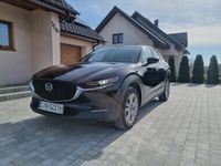 Obraz 1
