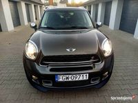 Obraz 1