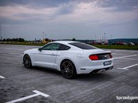 używany Ford Mustang 