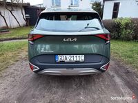 używany Kia Sportage 2025 rok