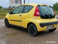 Obraz 3