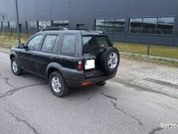 Obraz 3
