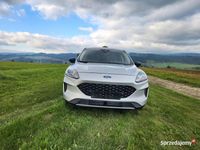 Używany Ford Kuga 2020 SUV