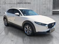 Obraz 3