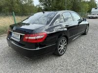 Obraz 3