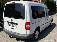 Obraz 3