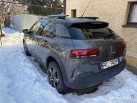 Używany Citroën C4 Cactus 110 KM (80 kW) 2020 Hatchback