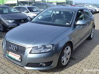 używany Audi A3 1.6 MPI, z Niemiec, (56)