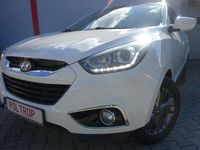 Obraz 3