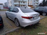 Obraz 3