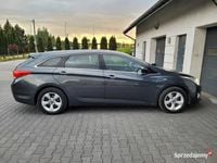 Obraz 3