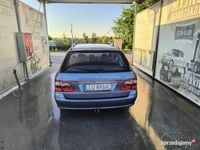 Obraz 3