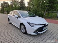 Obraz 1