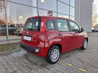 Nowe Fiat Panda Icon 70 KM (51 kW) 2025 Lakier pastelowy czerwony passione Hatchback