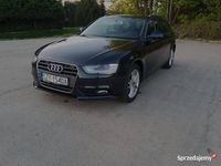 Obraz 3