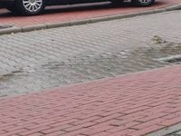 Obraz 3