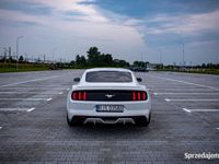 używany Ford Mustang 