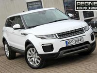 Używany Land Rover Range Rover evoque 150 KM (110 kW) 2018 Biały SUV