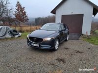 Obraz 3