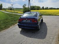 Obraz 2