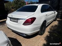 Obraz 3
