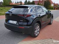 Obraz 2