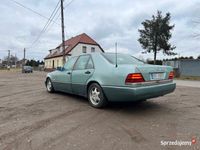 Obraz 3