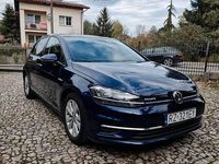 Używany VW Golf VII 150 KM (110 kW) 2018 Hatchback