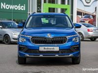 Nowe Skoda Kamiq Drive 110 KM (80 kW) 2026 Niebieski SUV