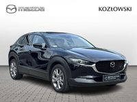 Obraz 3