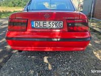 Obraz 3
