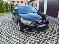 Obraz 2