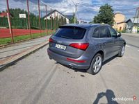 Obraz 3