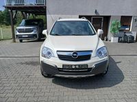 Obraz 3