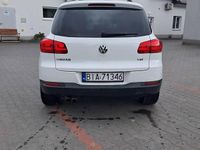 Obraz 3