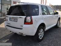 Obraz 3