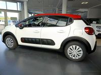 Obraz 3