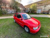 Obraz 1