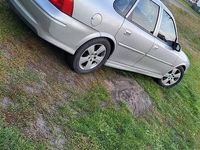 Obraz 2