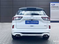 Używany Ford Kuga ST-Line 2022 Biały SUV