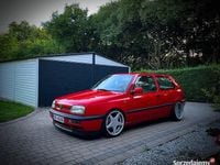 Obraz 3